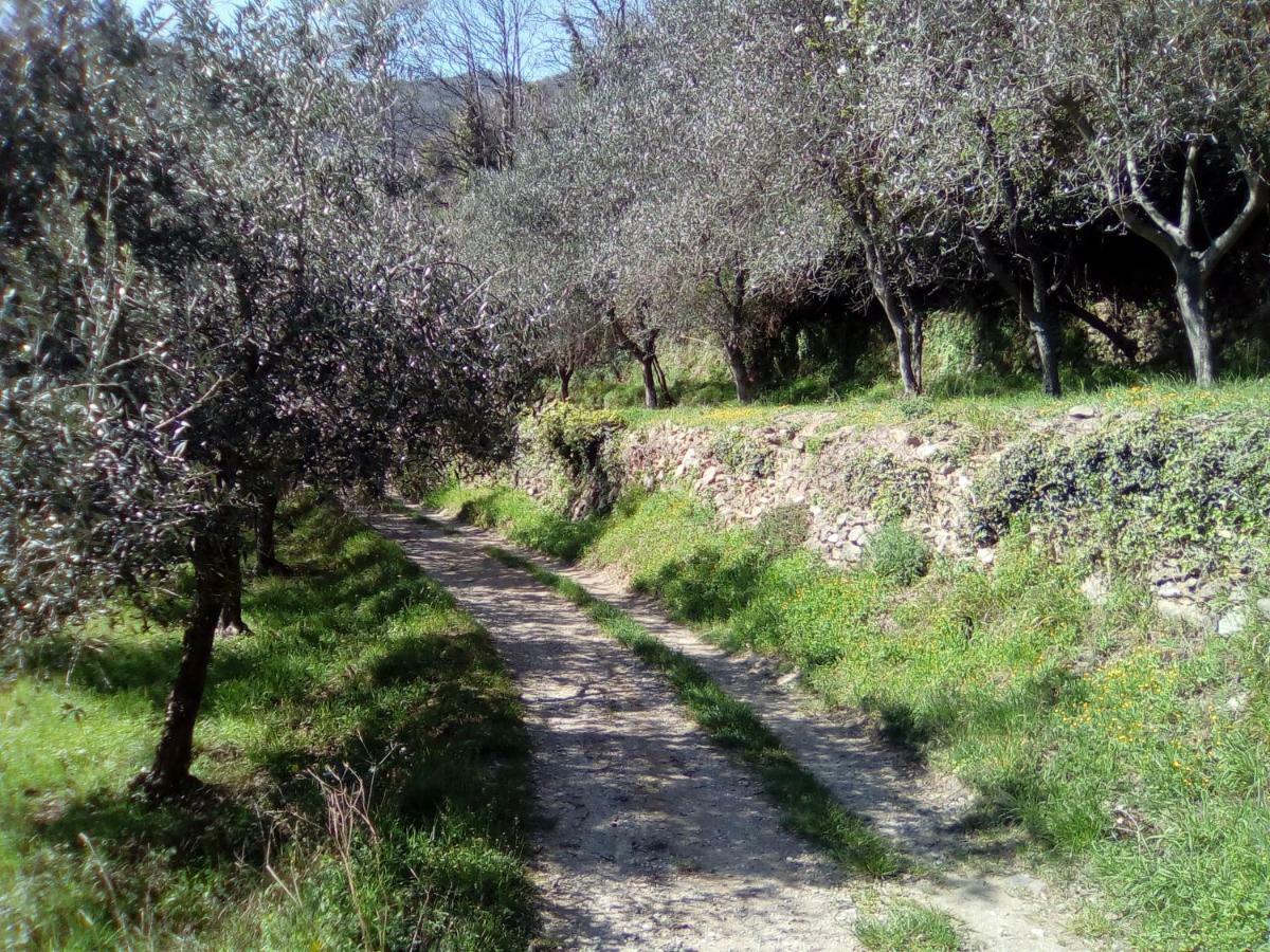 瓦多利古雷Contrada Casa Vacanze公寓 外观 照片