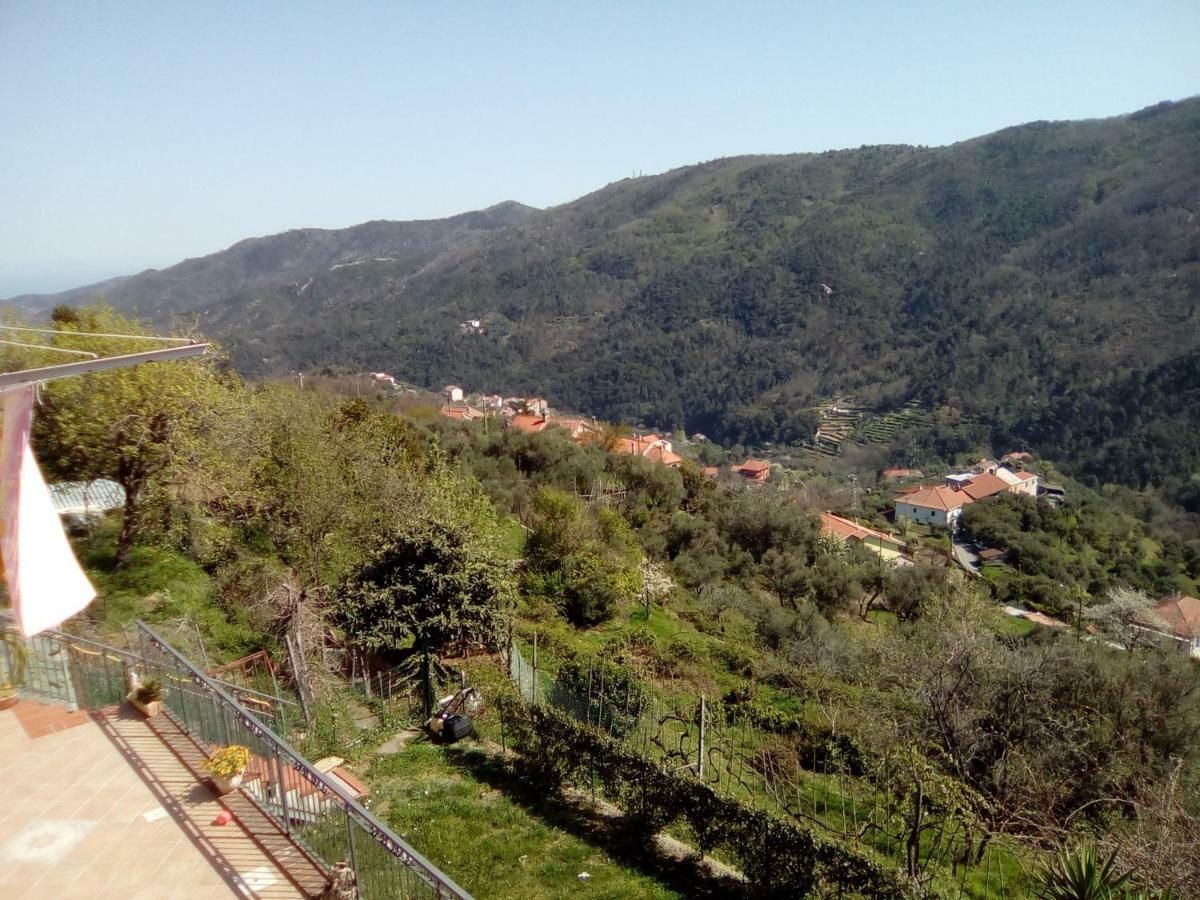瓦多利古雷Contrada Casa Vacanze公寓 外观 照片